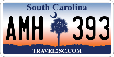 SC license plate AMH393