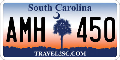 SC license plate AMH450