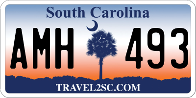 SC license plate AMH493