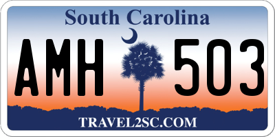 SC license plate AMH503
