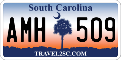 SC license plate AMH509