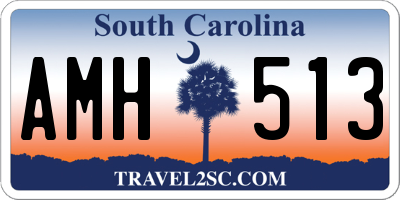 SC license plate AMH513