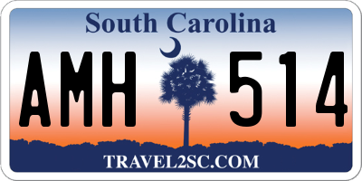 SC license plate AMH514