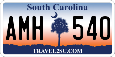 SC license plate AMH540
