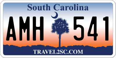 SC license plate AMH541