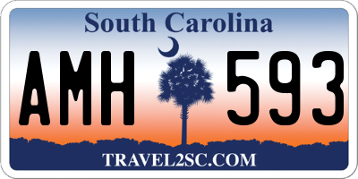 SC license plate AMH593