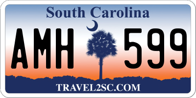 SC license plate AMH599
