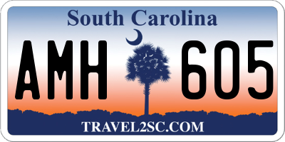 SC license plate AMH605