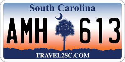 SC license plate AMH613
