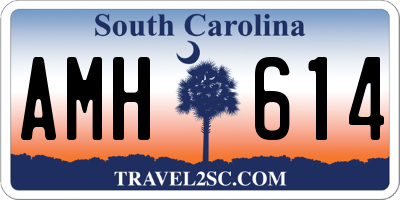 SC license plate AMH614