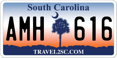 SC license plate AMH616