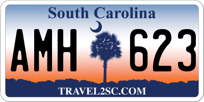 SC license plate AMH623