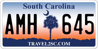 SC license plate AMH645