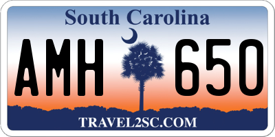 SC license plate AMH650