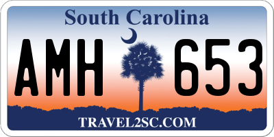 SC license plate AMH653