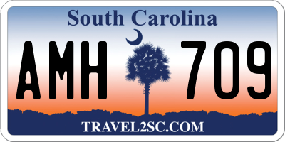 SC license plate AMH709