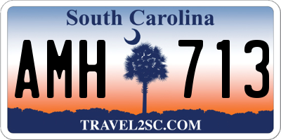 SC license plate AMH713
