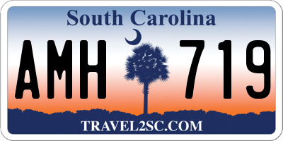 SC license plate AMH719