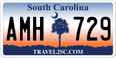 SC license plate AMH729
