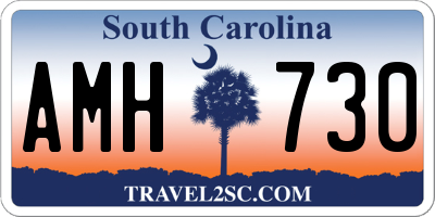 SC license plate AMH730