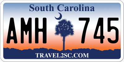SC license plate AMH745