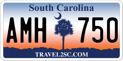 SC license plate AMH750