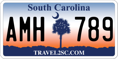 SC license plate AMH789