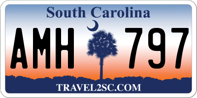 SC license plate AMH797