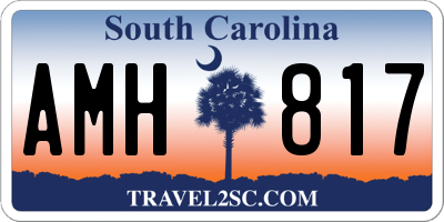 SC license plate AMH817