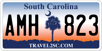 SC license plate AMH823