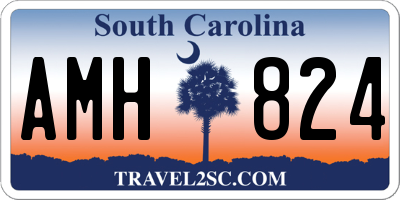 SC license plate AMH824