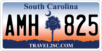 SC license plate AMH825