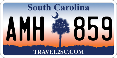 SC license plate AMH859