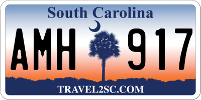 SC license plate AMH917