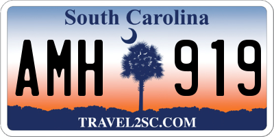 SC license plate AMH919