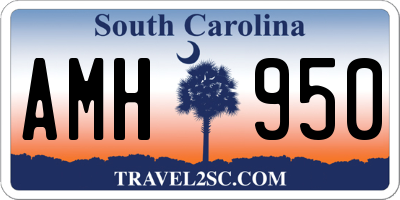 SC license plate AMH950