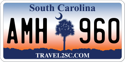 SC license plate AMH960