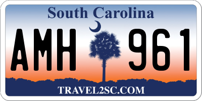 SC license plate AMH961