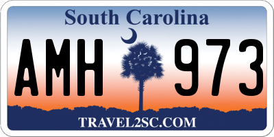 SC license plate AMH973