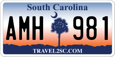 SC license plate AMH981