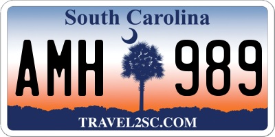 SC license plate AMH989