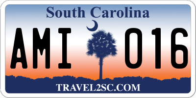 SC license plate AMI016