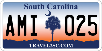 SC license plate AMI025