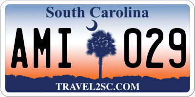 SC license plate AMI029