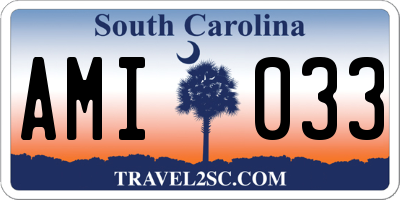 SC license plate AMI033