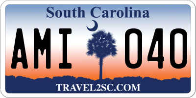 SC license plate AMI040