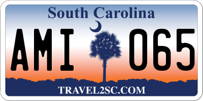SC license plate AMI065