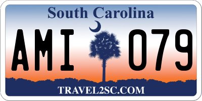 SC license plate AMI079