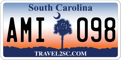 SC license plate AMI098