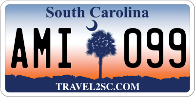 SC license plate AMI099